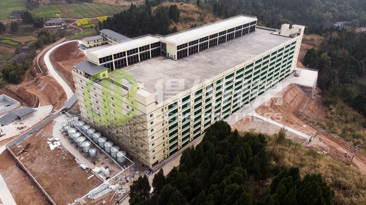 Conas Cáilíocht Timpeallachta a Fheabhsú i nDearadh Feirmeacha Muc Nua-Aimseartha