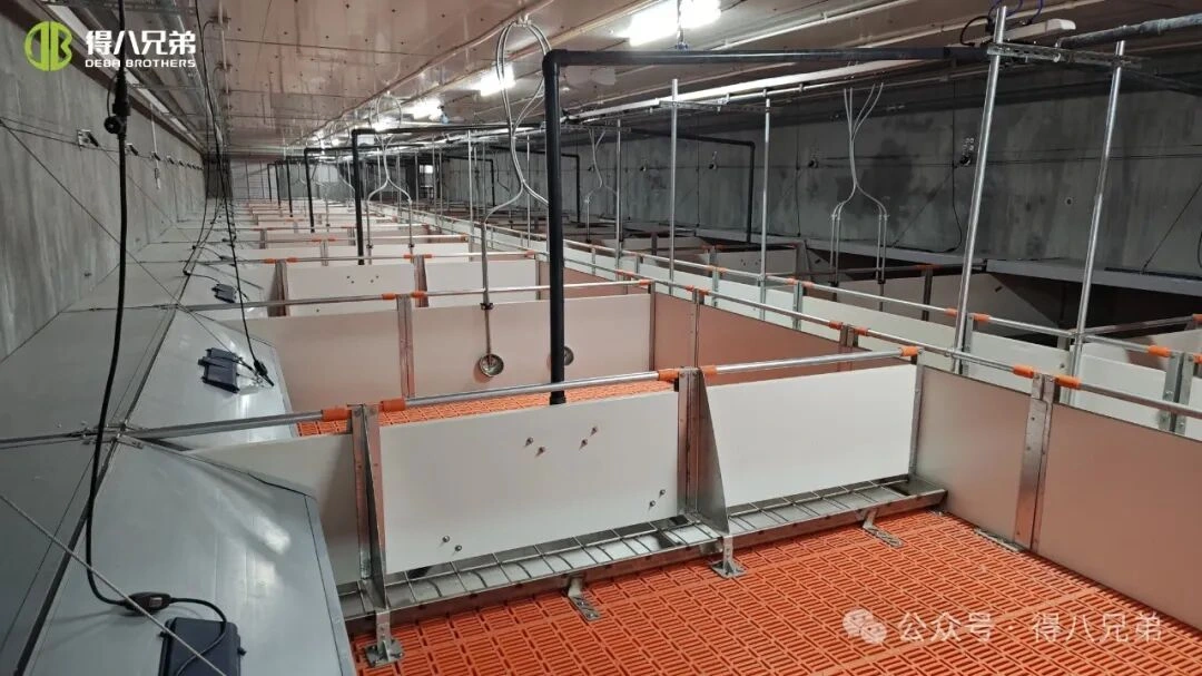 Cosc & Bainistiú Strus Teasa ar Fheirmeacha Muc le linn Aimsir Te